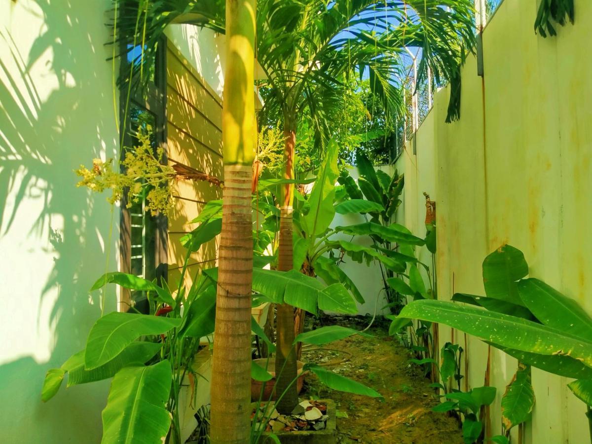 Almond Villa Хоян Екстер'єр фото